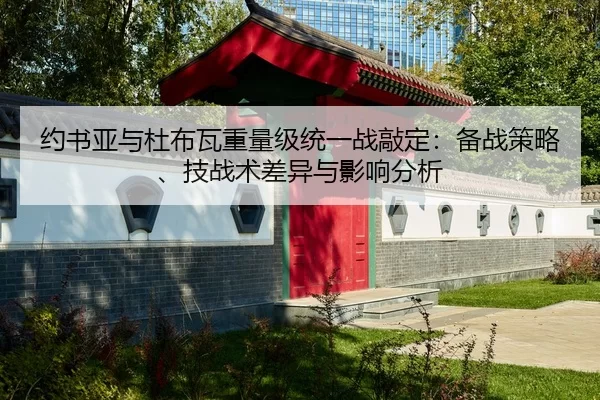 约书亚与杜布瓦重量级统一战敲定：备战策略、技战术差异与影响分析